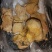 鸡宝售卖