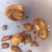 鸡宝售卖