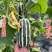 博洋9号甜瓜糖度高口感好主产区对接各大平台市场档口批发