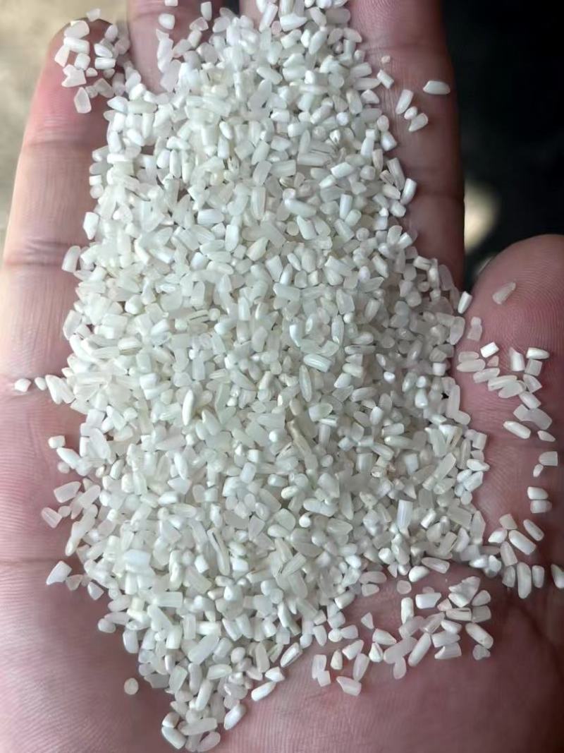 白碎米硬米，食品级大碎米每月到货5万吨