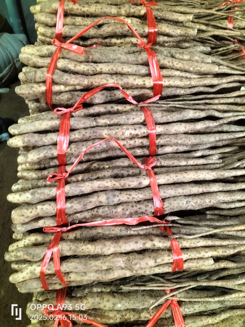 温县垆土铁棍山药