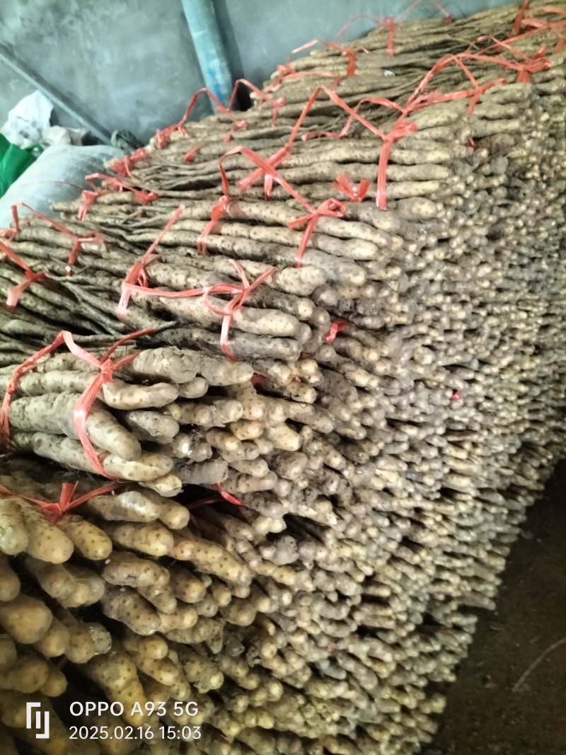 温县垆土铁棍山药