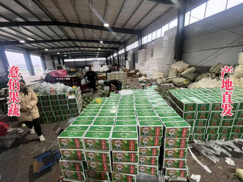 2k小糖丸吊秧西瓜薄皮一手货源精品供应商超实力档口批发