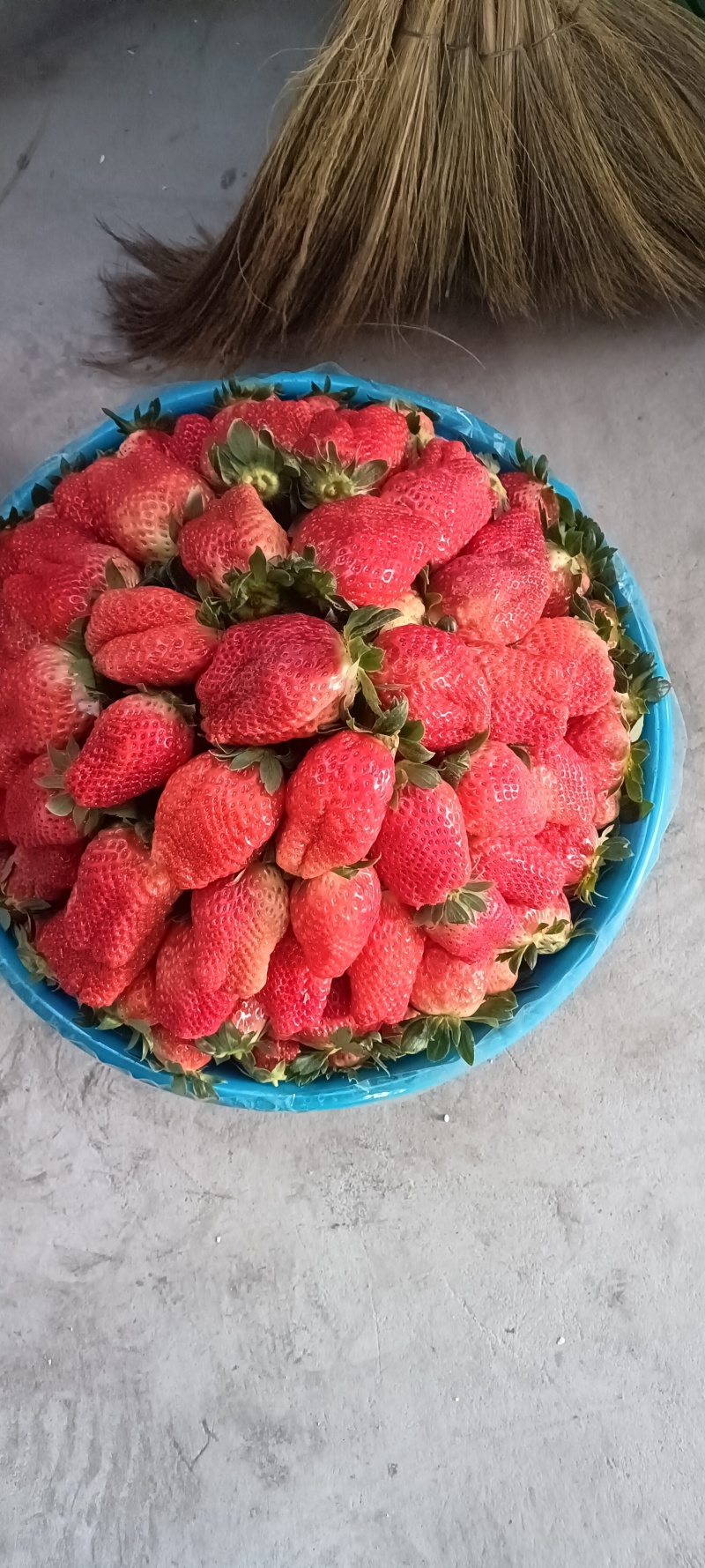 草莓新鲜水果