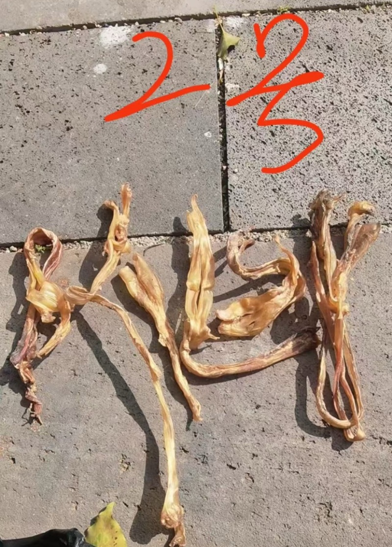 牛筋，干牛蹄筋，自然晒干，无硫
