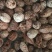 中药材无硫草果仁去皮草果香料大全火锅香料草果