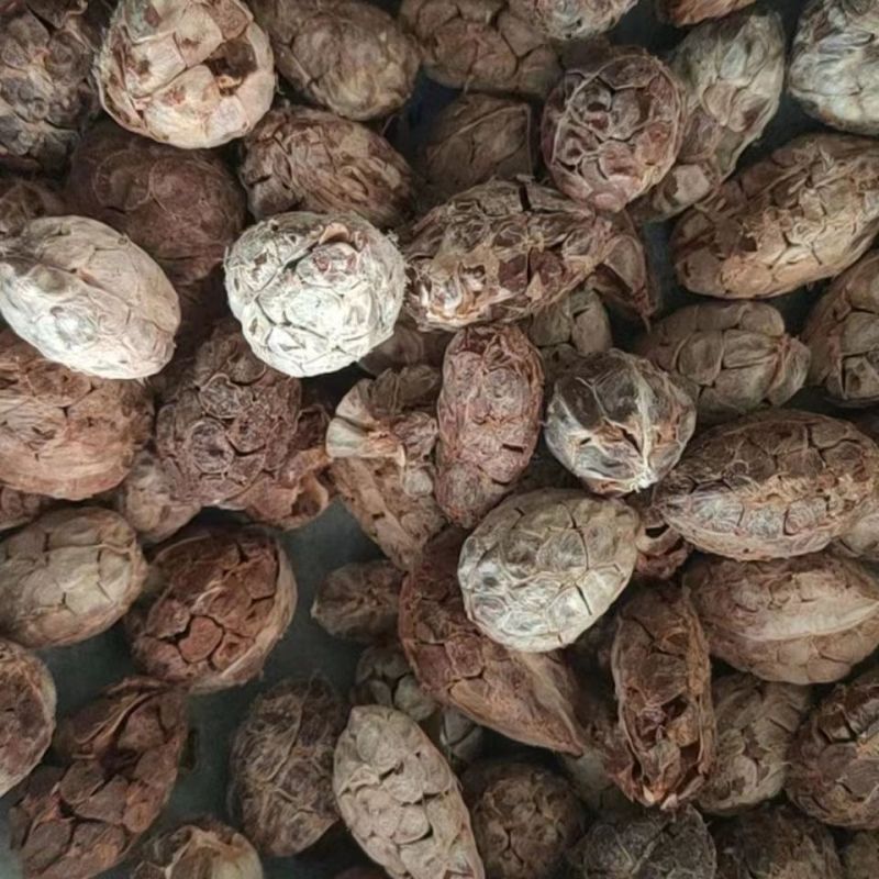 中药材无硫草果仁去皮草果香料大全火锅香料草果