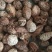 中药材无硫草果仁去皮草果香料大全火锅香料草果