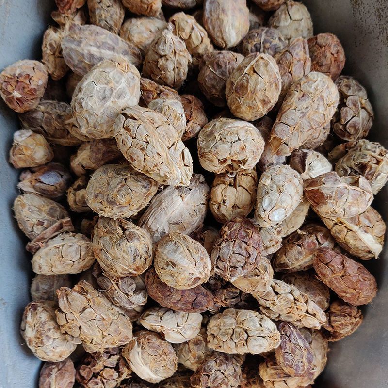 中药材无硫草果仁去皮草果香料大全火锅香料草果