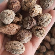 中药材无硫草果仁去皮草果香料大全火锅香料草果