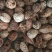 中药材无硫草果仁去皮草果香料大全火锅香料草果