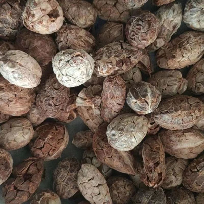 中药材无硫草果仁去皮草果香料大全火锅香料草果