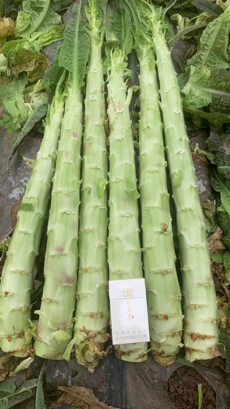 精品光头强，主打精品，产地一手货源，支持产地考察……