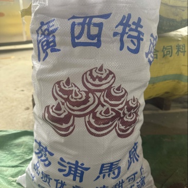 广西荔浦马蹄中小脆甜多汁超市批发档口详谈