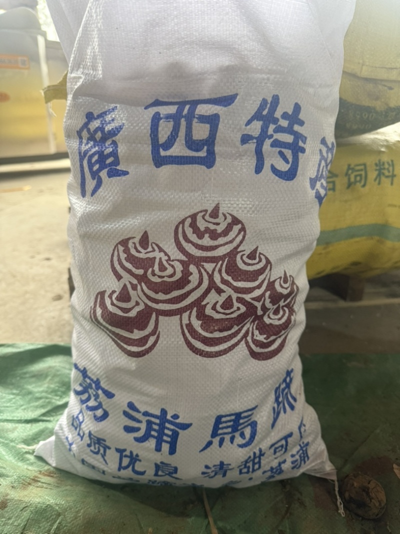 广西荔浦马蹄中小脆甜多汁超市批发档口详谈