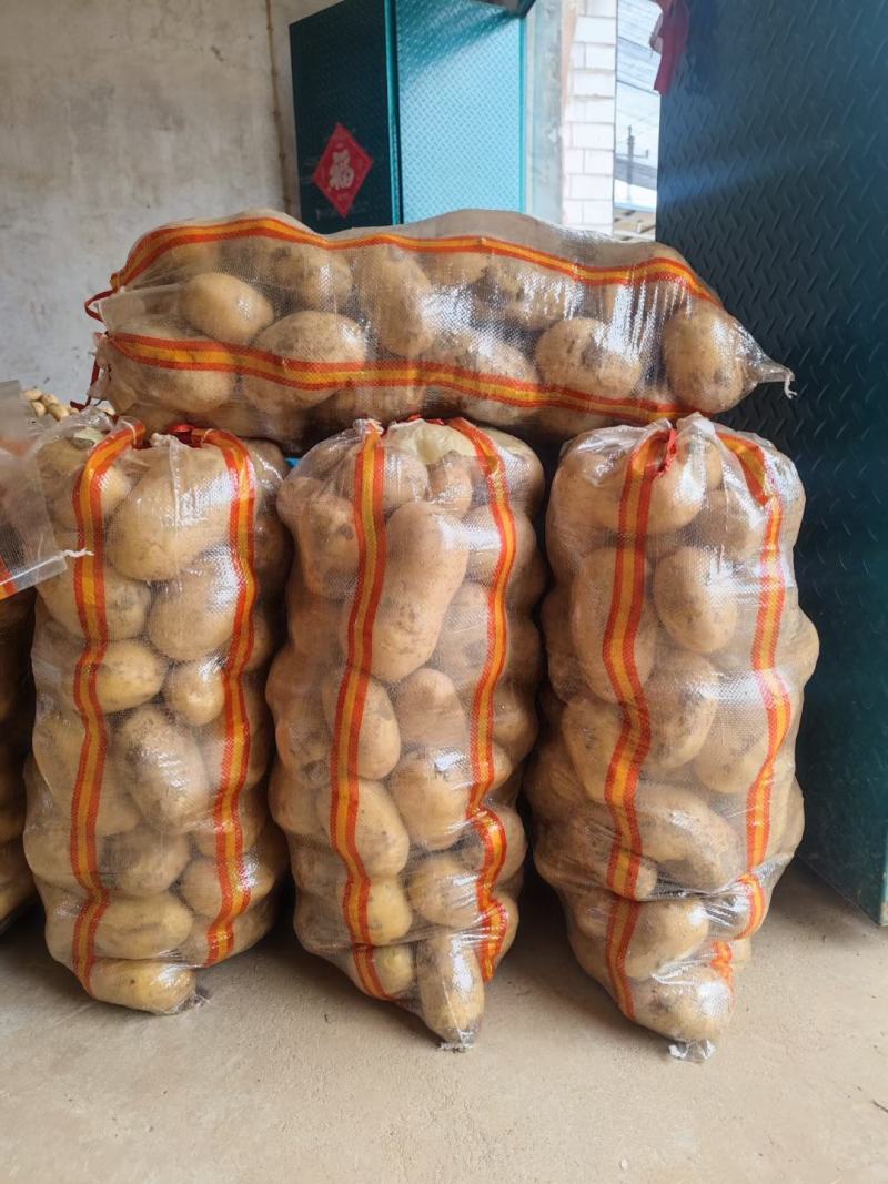 精品土豆基地大量上市，对接各大商超，对接全国各地批发市场