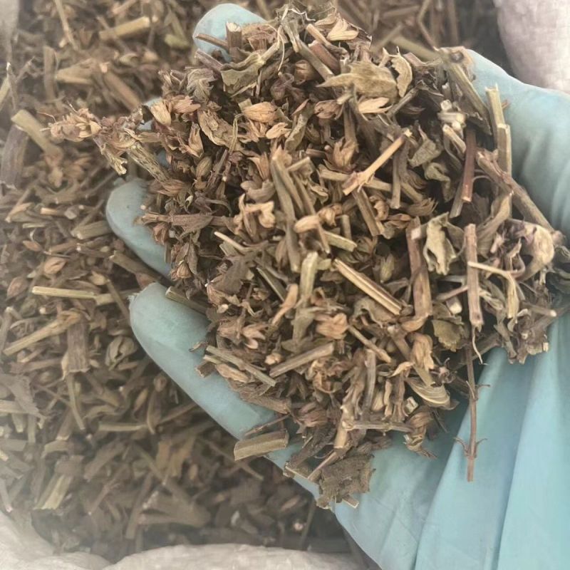 中药材鼠尾草1公斤新货中草药农家采摘鼠尾草坑苏紫花丹
