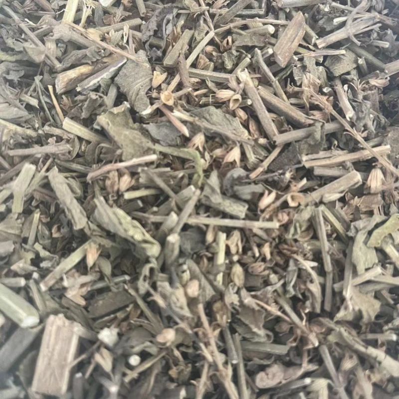 中药材鼠尾草1公斤新货中草药农家采摘鼠尾草坑苏紫花丹