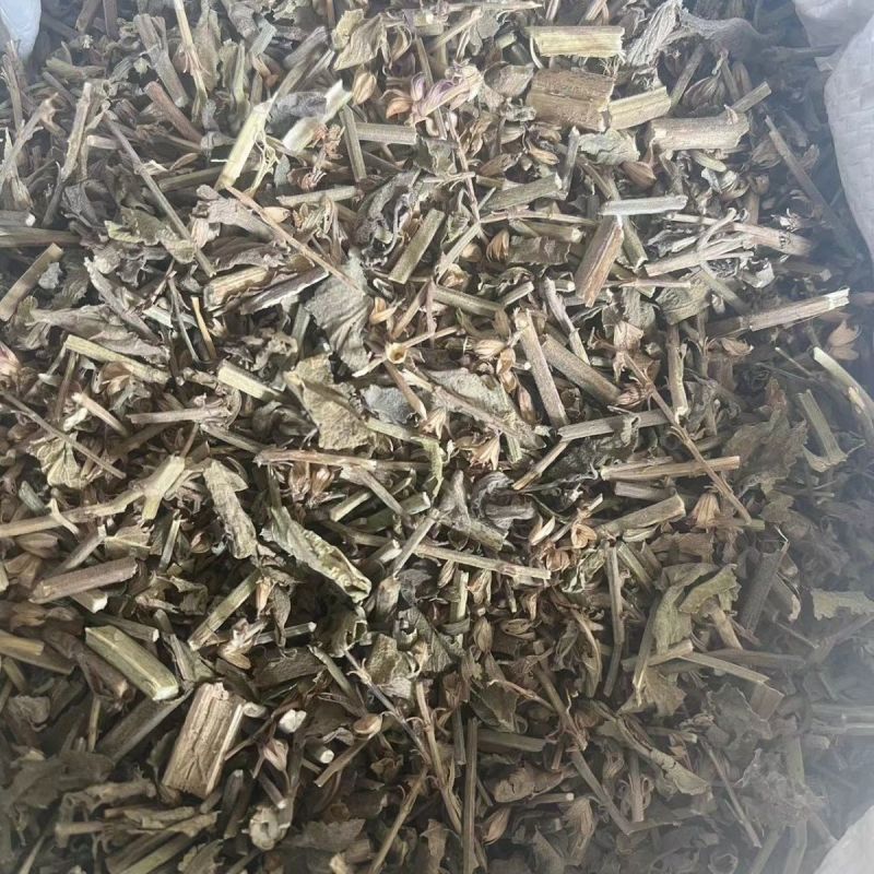中药材鼠尾草1公斤新货中草药农家采摘鼠尾草坑苏紫花丹