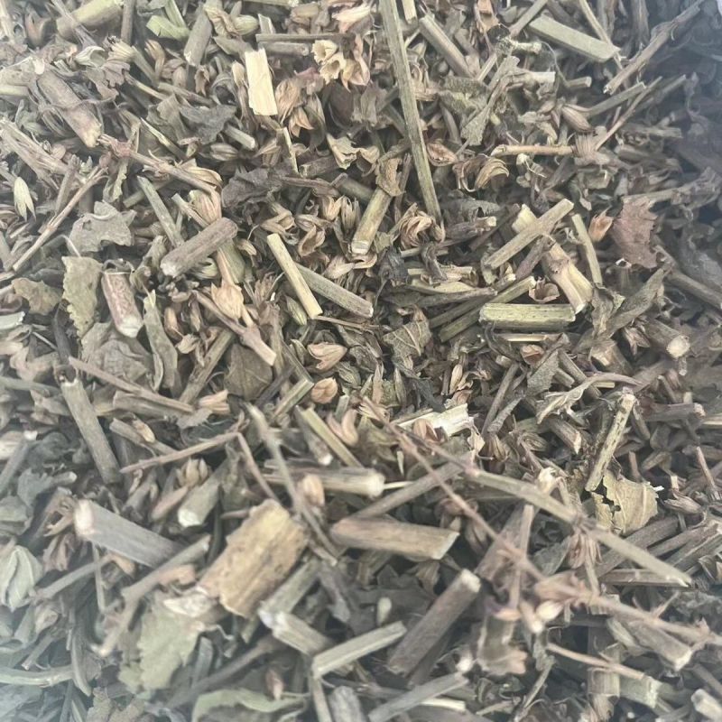 中药材鼠尾草1公斤新货中草药农家采摘鼠尾草坑苏紫花丹