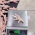 35加凤爪
