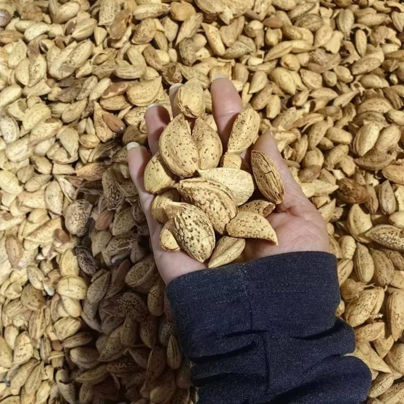 新疆巴旦木正品批发椒盐口味