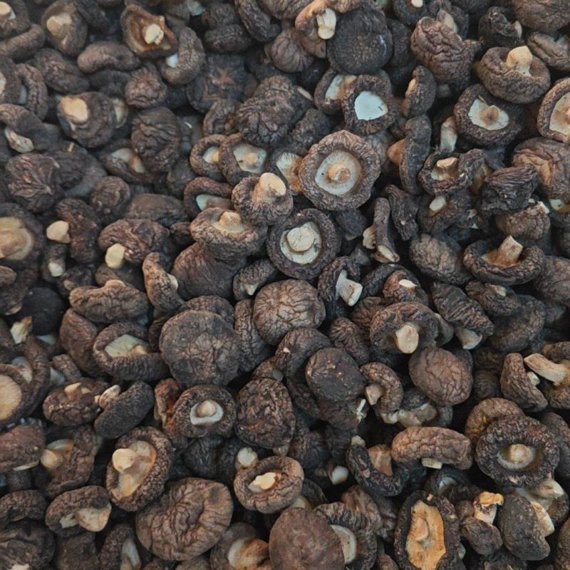 【实力推荐】干香菇品质保证对接全国市场可视频看货