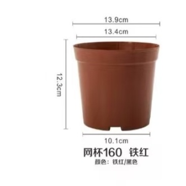 加厚塑胶网低花盆,育苗盆发财树盆非一次性