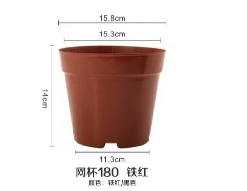 加厚塑胶网低花盆，育苗盆发财树盆非一次性