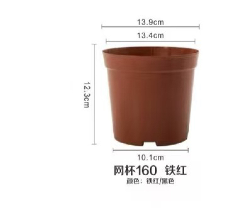 加厚塑胶网低花盆，育苗盆发财树盆非一次性