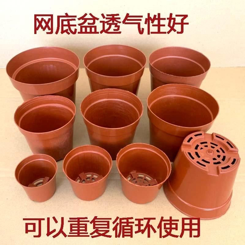 加厚塑胶网低花盆，育苗盆发财树盆非一次性