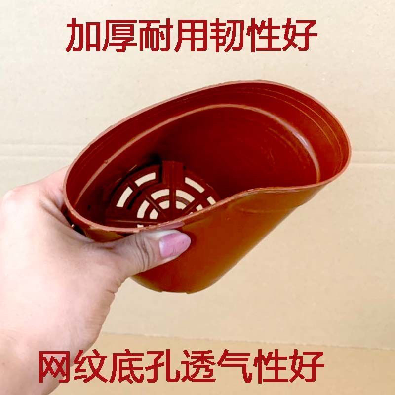 直边网底塑胶盆优质加厚育苗盆红色家庭园艺多肉盆重复使用
