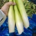 茭白种苗茭白7号3号8单季茭双季茭鱼虾蟹套养茭