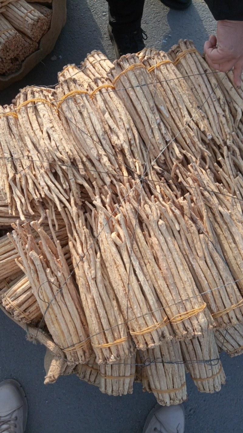 白条党参条子