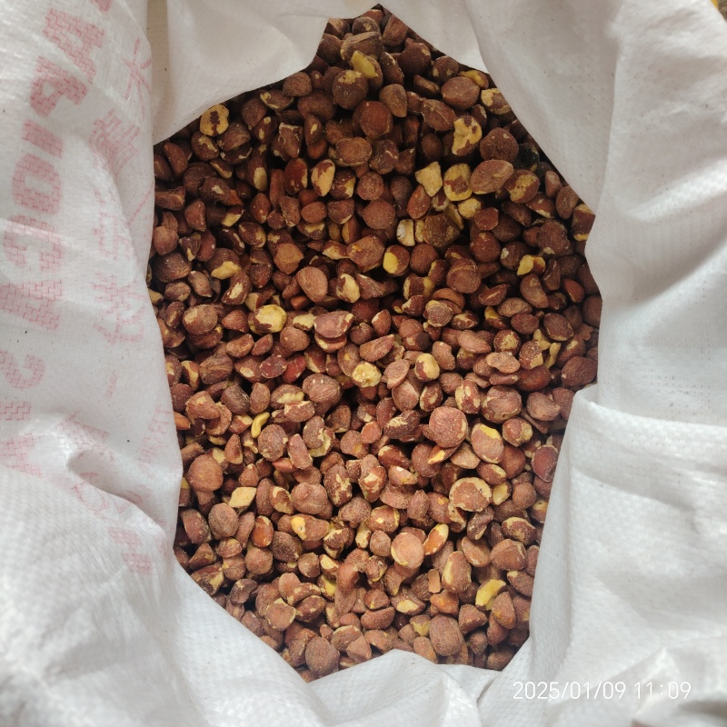 25年新油茶霜降籽无杂质出油率高原产地发货质量保障