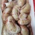 鸭腰优质鸭腰子批发鸭腰新鲜鸭腰保证质量