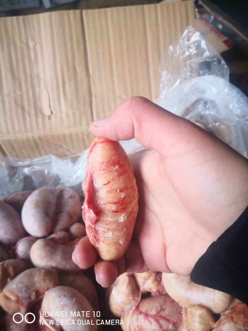鸭腰优质鸭腰子批发鸭腰新鲜鸭腰保证质量