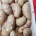 鸭腰优质鸭腰子批发鸭腰新鲜鸭腰保证质量