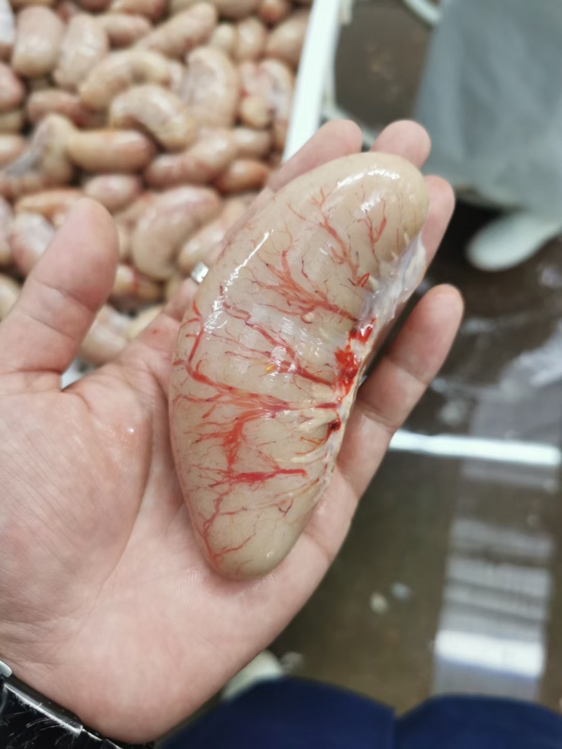 鸭腰优质鸭腰子批发鸭腰新鲜鸭腰保证质量
