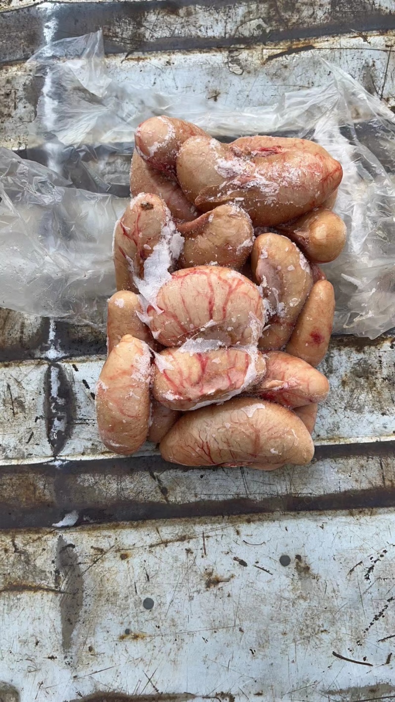 鸭腰优质鸭腰子批发鸭腰新鲜鸭腰保证质量