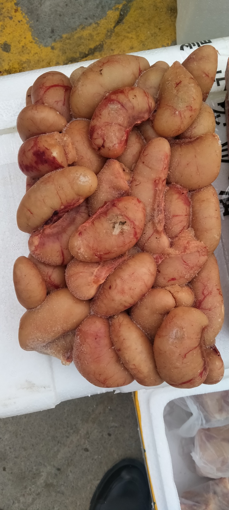 鸭腰优质鸭腰子批发鸭腰新鲜鸭腰保证质量