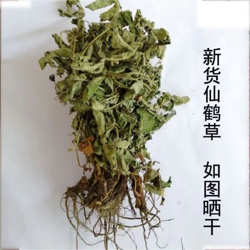 仙鹤草新种子新种籽龙牙草狼牙草肾草发芽率高批发零售