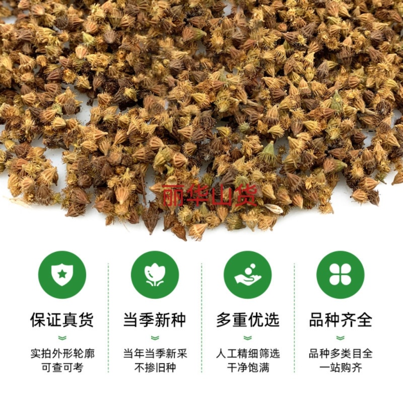 仙鹤草新种子新种籽龙牙草狼牙草肾草发芽率高批发零售