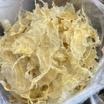 花胶鲶鱼胶青白鲈片土鳘胶胶质软糯口感佳酒店椰子鸡专用鱼胶