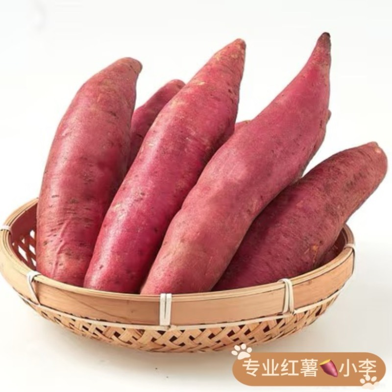湖北红薯产地一手货源，品质保证，现挖现发，量大从优