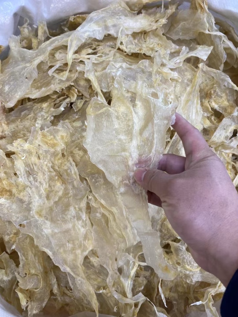 花胶鲶鱼胶青白鲈片土鳘胶胶质软糯口感佳酒店椰子鸡专用鱼胶