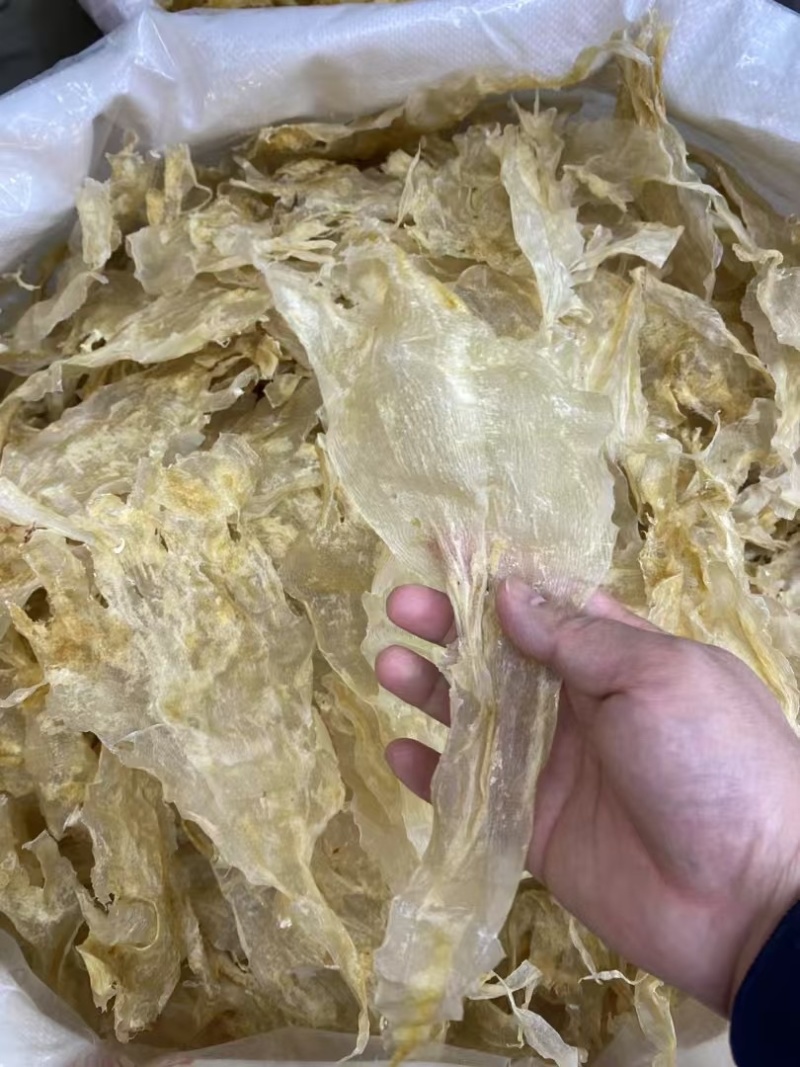 花胶鲶鱼胶青白鲈片土鳘胶胶质软糯口感佳酒店椰子鸡专用鱼胶