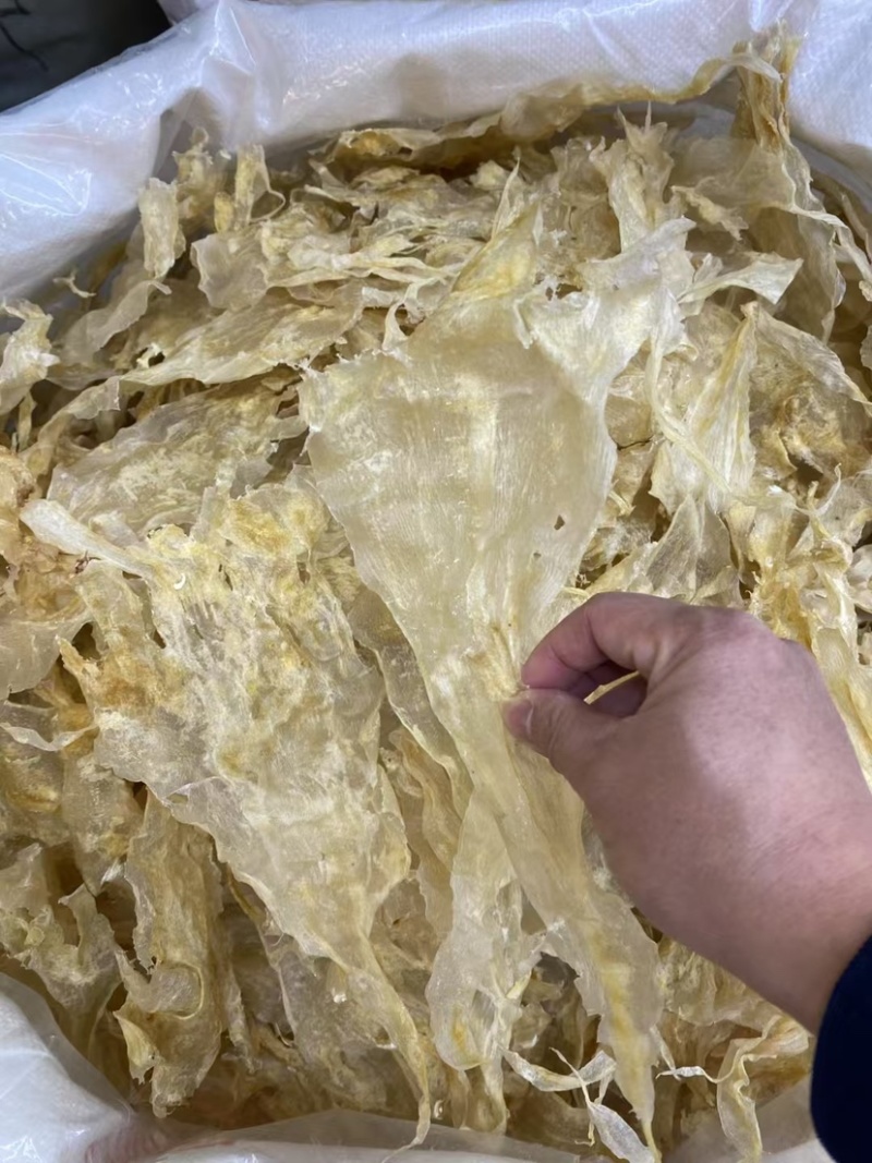 花胶鲶鱼胶青白鲈片土鳘胶胶质软糯口感佳酒店椰子鸡专用鱼胶