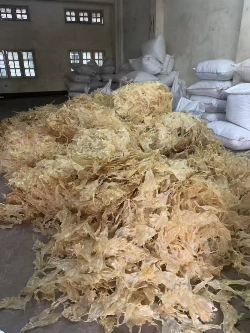 花胶鲶鱼胶青白鲈片土鳘胶胶质软糯口感佳酒店椰子鸡专用鱼胶