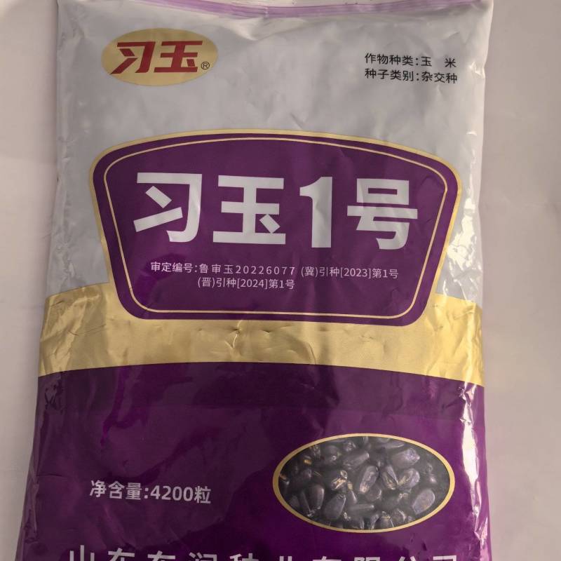 高抗锈病抗茎腐病抗穗腐病粉红轴大棒习玉一号
